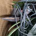 PINPON Lighted Artificial Palm Tree, 6 FT Light Up Christmas Palm Tree Decorations Decor, Fake Trees Lights for Patio Yard Pool Porch Deck Tropical Party Tiki Bar Indoor Outdoor Use