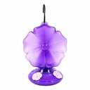 Morning Glory Hummingbird Feeder