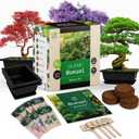 Bonsai Starter Kit  Japanese Bonsai Tree Kit 7 Seeds Pots  Complete Grow Your Own  Plant Lover Gifts Home Gifts for Men and Women