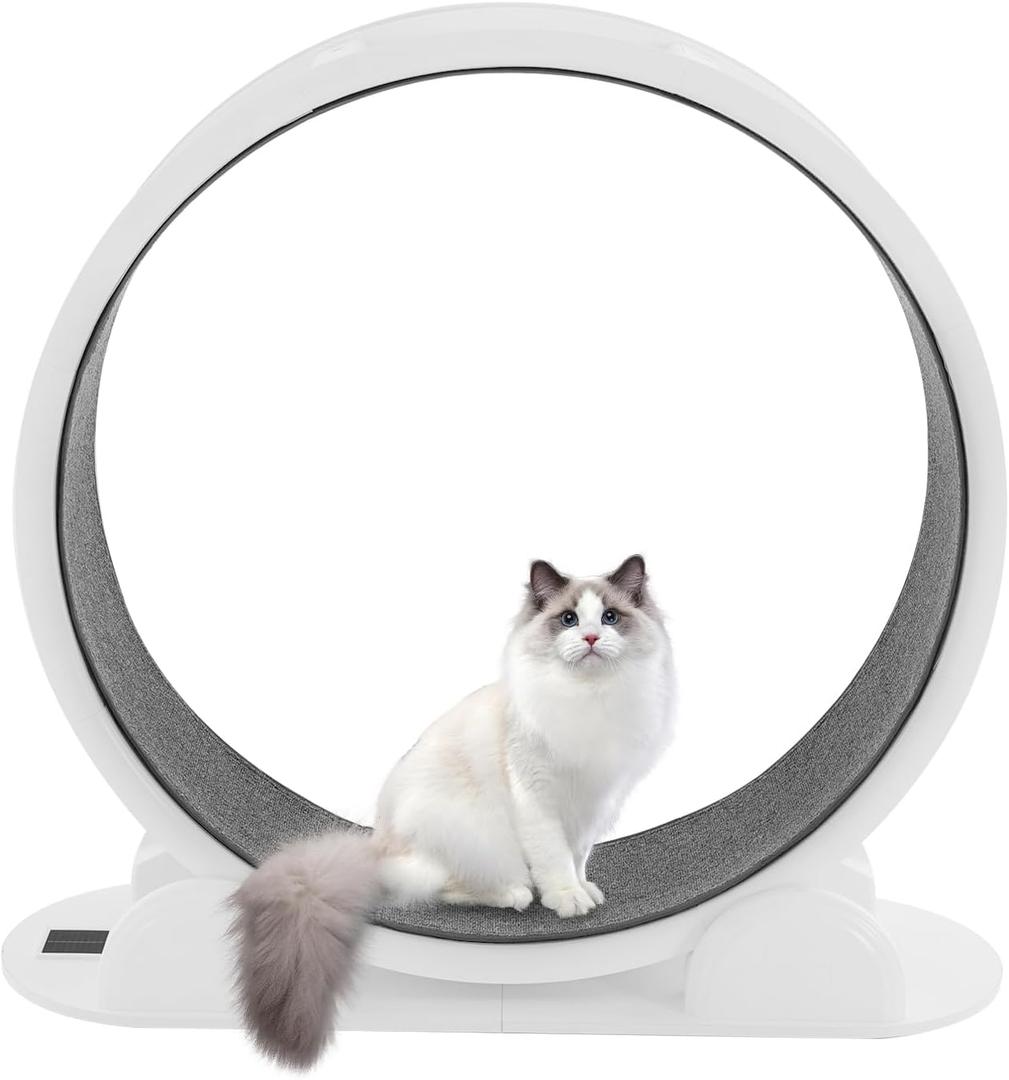 White Cat Running Wheel for Indoor Exercise and Play, Perfect for Active Cats White Cat Running Wheel for Indoor Exercise and Play, Perfect for Active Cats