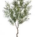 AfanD Artificial Tree Faux Olive Tree 8ft(92in,3200leaves) Tall Fake Olive Plant in Pot Fake Silk Tree Faux Plants Indoor