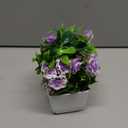 Der Rose 4 Pack Small Fake Plants Mini Artificial Faux Plants Indoor with Flowers Spring Decorations for Home Room Farmhouse Desk House Bathroom Decor