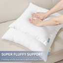 Leeden 22x22 Pillow Inserts, 22 Inch Decorative Throw Pillow Inserts, Soft Fluffy Square Throw Pillows for Couch, Sofa, Bed, and Home Decor White Cushion Pack of 2