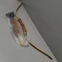 Wooden Bow and Arrow Set, 40 Inch Handmade Wooden Bow and Arrow Cosplay Costume Prop Archery Set Games Toys, 1 Bows 1 Quivers and 5 Feather Arrows, Gifts for Kids Youth Boys and Girls