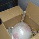 Penn Collection 1-Light Clear Glass Farmhouse Pendant Light Natural Brass