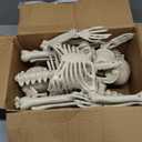 LUKBERA 2 Pack 3 ft Halloween Skeleton Posable, 36 Full Body Human Skeleton with Movable Joints for Halloween Haunted House Graveyard Party Scary Indoor Outdoor Decor