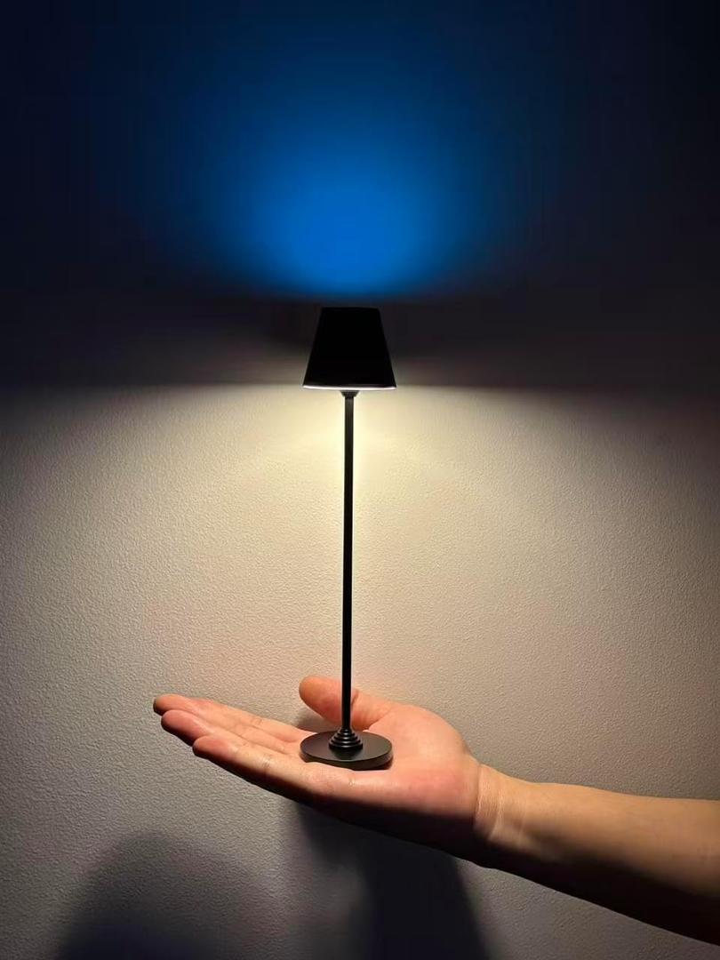 Timjorman RGB Palm-Sized Cordless Table Lamp, Rechargeable Touch Metal Bedside Lamp, 3 Brightness 3000K Warm Light, Small Table Lamp for Bedroom, Restaurant, Patio, Camping (Black 1 Pack)