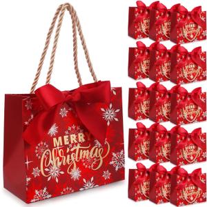 Moinchore 40 Pack Small Christmas Bags with Handles Christmas Goodie Gift Bags with Ribbon 5.5 x 2.4 x 4.7 Inches Xmas Candy Goodies Mini sack(Snowflake) (Snowflake)