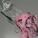 Dog Harness and Leash Set, Adjustable Dog Harness, Dog Leash, No Pull No Choke Puppy Harnesses for Walking Training for Small Medium Pet (Strawberries, M(Chest 15.7-22.1", Neck 12-15"))