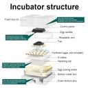 CoInceptus 35 Egg Incubator with Automatic Egg Turning and Humidity Control, Incubator for Chicken Eggs, Quail, Duck Eggs, with Egg Candler