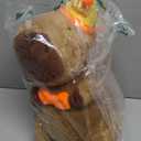 Ditucu Cute Capybara Plush with Happy Birthday Hat