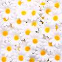 JOHOUSE 200PCS Silk Daisy Flower Heads, Gerbera Chrysanthemum Artificial Daisies Table Confetti for Baby Showers Birthday DIY Crafts