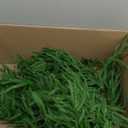 9FT Artificial Norfolk Pine Garland, Realistic Christmas Greenery Garland for Mantle, Staircase, Banister, Fireplace, Wall, Door, Table, Indoor & Outdoor Holiday Xmas Decortions