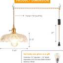 Glass Plug in Pendant Light,Vintage Copper Lamp Holder Hanging Lamp,Pendant Light for Kitchen Island, Bedroom, Dining Room, Living Room (9.65in)