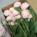 Dolicer Real Touch Ranunculus Artificial Flowers, 12Pcs 18 Inch Fake Peonies Artificial Flowers, Pink Faux Flower for Vase Faux Peony Bulk for Home Table Wedding Bridal Bouquet Decor