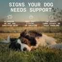 8-in-1 Dog Multivitamin  100% Natural Supplement Powder with Colostrum for Healthy Skin, Joints & Energy  Crafted by Dog Nutritionist Kayla Kowalski, Made in USA  30 Scoops