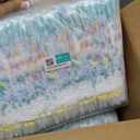 Pampers Training Pants - Easy Ups Boys & Girls Bluey - Size 3T-4T, 66 Count, Children's Potty Underwear