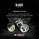 BIBS Color Pacifiers 4-Pack | BPA Free Soother Pacifier | Round Nipple | Natural Rubber Latex | Made in Europe | Size 6-18 Months | Sage Glow Mix