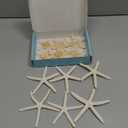 Jangostor 12 PCS Starfish 2-6 Inch Mixed Starfish Natural Seashells Starfish Star Fish Shells Decorations Perfect for Wedding Decor Beach Theme Party, Home Decorations, DIY Crafts, Fish Tank