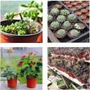 Oubest Plastic Plant Nursery Pots 6" 100 pcs Reusable for Seed Starting Seedlings Cuttings Transplanting Flower Plant Pots