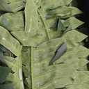 Fake Ferns - Set of 2 Faux Boston Ferns Large Artificial Plants, 40 Leaves per Bouquet, 35 Inches Large Artificial Ferns for Outdoors/Indoor Home, Office, Garden Decoration