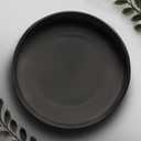 Willowy 9 Inch Black Ceramic Pot Saucer - Drainage Tray for 6, 7, 8 Inch Planters + More Sizes (9" (1 Pack))