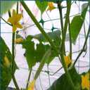 Green Polypropylene Garden Trellis Netting 6.5x100 ft, Heavy Duty Plant Support Net for Climbing Vegetables, Fruits & Flowers