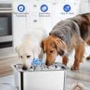 Stainless Steel Water Fountain for Large Dogs 3-Gallon Extra-Large Capacity Pet Water Dispenser Multi-Pet Compatible Drinking Bowl Easy to Clean Quiet Pump Design