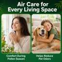 410 Replacement Bamboo Filter for Homes with Pets, Kids, Seniors & Pregnant