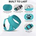 BINGPET Small Dog Harness, No Pull Dog Harness Small Sized Dogs, Soft Light Breathable Mesh Puppy Vest with Safety Buckle-Adjustable Step in Pet Harnesses for Easy Walking, Running, Training
