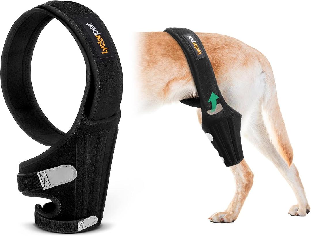 Dog Knee Brace for Torn ACL Hind Leg, Rear Leg Cruciate Ligament Braces for Dogs, Strong Support to Reduce Joint Pain and Muscle Sore, with Side Stabilizers for Back Leg, XXS