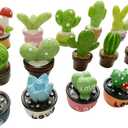 Miniature Potted Plants Resin Decoration 30pcs Random Set for Doll House Pretend Play Toys DIY Mini Home Garden Flowerpot Succulent Planter