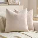 FUTEI Pack of 2 Velvet Throw Pillow Covers 16x16 Inch, Beige