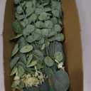 Eucalyptus Leaves Stems 60 PCS, 4 Kinds Mixed Artificial Greenery Stems for Wedding Decor Vase Floral Arrangement Centerpiece