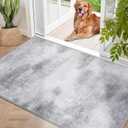 Door Mat, Front Indoor Doormat 31"x47" Non Slip Entryway Rug Indoor, Washable Small Rug for Entrance Bedroom Kitchen Bathroom Laundry Low Profile (2.6x4 Feet), 2.6' X 3.9'