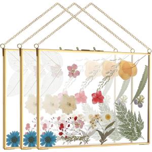 Roowest 3 Pcs Double Glass Frame for Pressed Flower 8 x 10 Inch Floating Picture Frame Brass Hanging Photo Artwork Display with Chain Wall Decor for Wedding Gallery Pictures DIY Decor