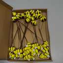 Suncalla 12 Pcs Felt Bee Stems What Will Baby Bees Birthday Party Decoration DIY Felt Honeybee Branch Pick for Tree Vase Filler Home Table Centerpiece Farmhouse Baby Shower Crafts (Bee)