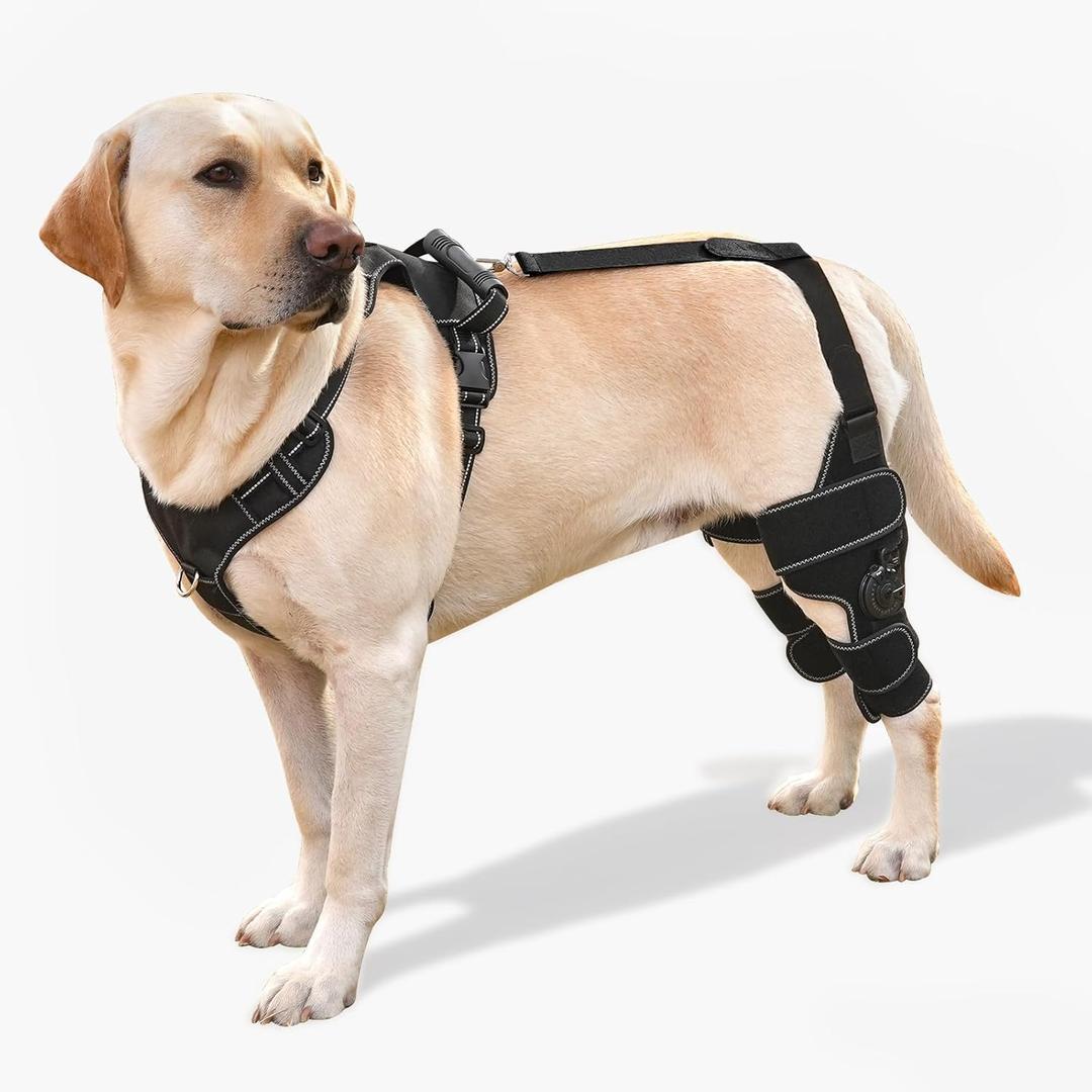 Dog Knee Brace with Adjustable Support  ACL & CCL Tear Recovery, Post-Surgery Stabilization, Mobility Aid for Rear Legs  Includes Secure Chest Harness for Dogs(Both Legs,L)