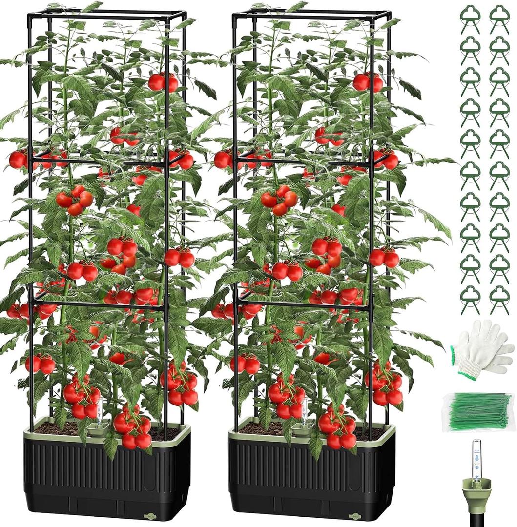 Self Watering Tomato Planter with Trellis, Rectangular Tomato Cages Trellis for Raised Garden Bed, Tomato Planters Box for Garden Pots Patio Indoor Outdoor (Rectangular, 2PC)