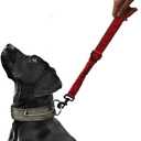 Short Dog Training Control Leash 18 Inch 1 Inch Wide Heavy Duty Elastic Traffic Bungee Leash with Padded Handle Suitable for Medium and Large Dogs(Red)
