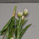 DILATATA 6 Pcs Artificial Tulips Flowers Cream Real Touch Fake Latex Tulips Flowers for Mother's Day 14" Faux Tulips Faux Flowers for Vase Centerpieces Home Wedding Bouquet