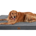 Orthopedic Dog Beds & Washable Removable Cover