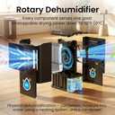 Dehumidifier for Home, Dehumidifier for Basement with Drain Hose/Humidity Display/85 OZ Water Tank/Washable Filter/Auto Shut Off/Ultra Quiet, Small Dehumidifier for Bedroom, Bathroom, RV, Whole Home