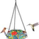 Nature's Way Bird Products GHF7 Hand Blown Illuminated Top Fill Hummingbird Feeder (16 oz Capacity, Multi)