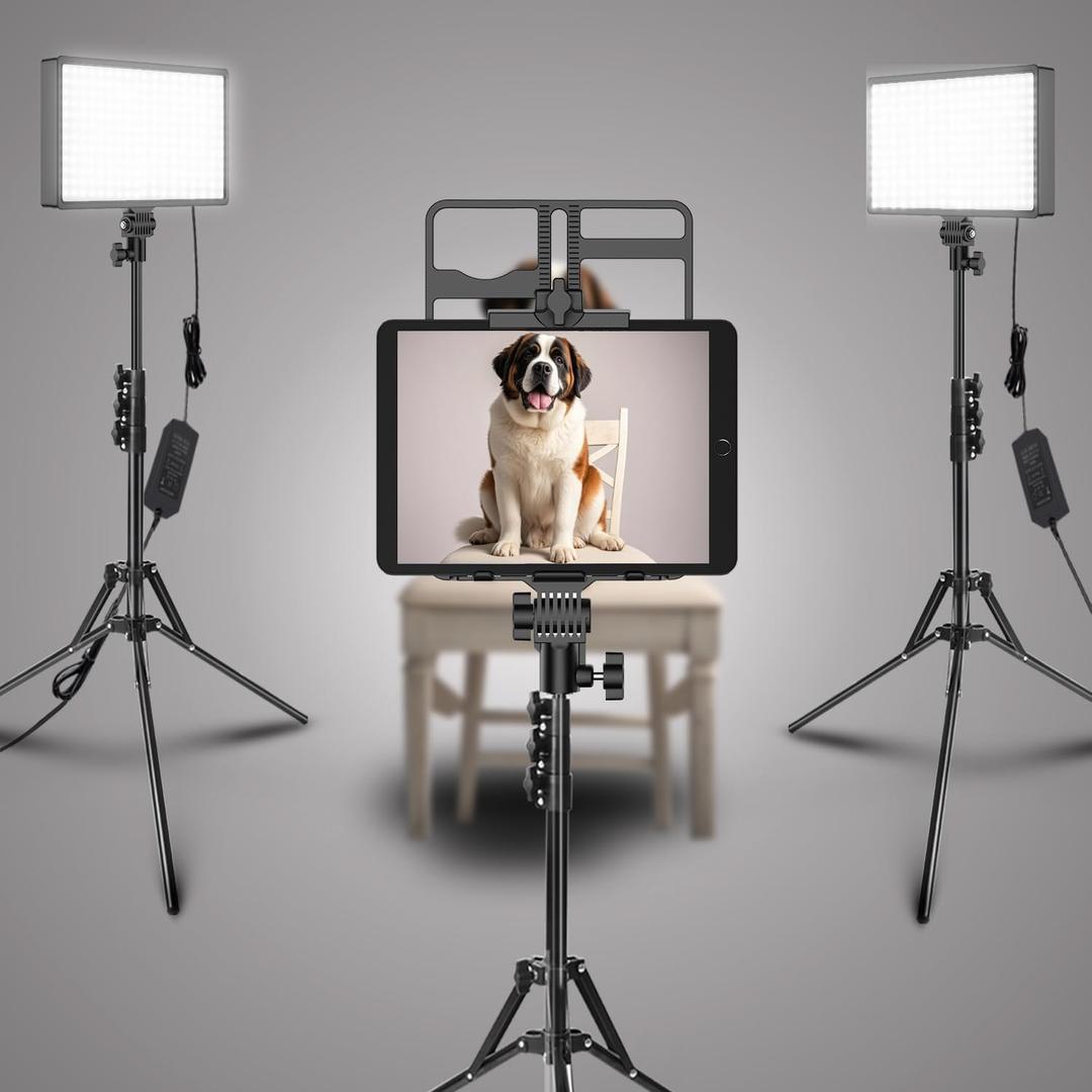 2 Packs Dimmable Bi-Color 432 LED Video Light and Stand Lighting Kit,50W,Add More Remote Controllers, 360  Ball Heads, Phone ans Tablet Holders (Black, 13-2)