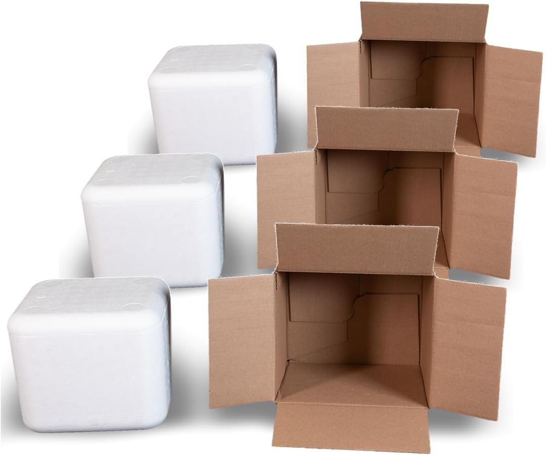 Robin II EPS Foam Cooler (Outside Dimensions: 9 x 8 x 7.5) with Shipping Box - 3 Pack, Protective, Thermal, Insulated, Biodegradable, Recyclable, Shipping/Storage