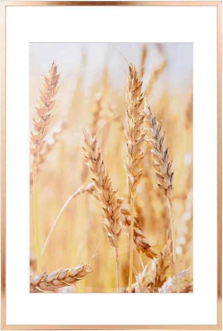 wyooxoo 16x24 Frame Poster Frames Display Pictures 13x19 With Mat or 16x24 Picture without Mat, Metal Frames Wall Gallery Photo Frames With PlexiGlass (Brushed Copper)