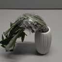 Fake Olive Branches with White Ceramic Vase, Indoor Artificial Olive Tree Stems Faux Green Plants Greenery Leaves in Vase for Farmhouse Office Bedroom Living Room Table Shelf Home Decor