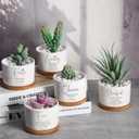 Fumete 36 Set Religious Gift Bulk Bible Verse Succulent Pots, Mixed Style, 8 x 5.5 cm / 3.15 x 2.17 inches