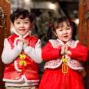 18 Pcs Chinese New Year of The Horse Decorations Bonsai Hanging Red Tassel 2026 Spring Festival Ornaments for Home Wealth Success Good Luck Home Tree Car (9 Inch)